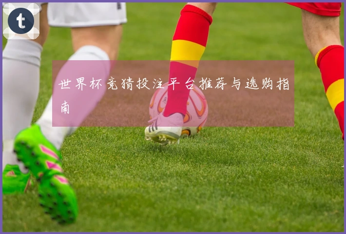 世界杯竞猜投注平台推荐与选购指南