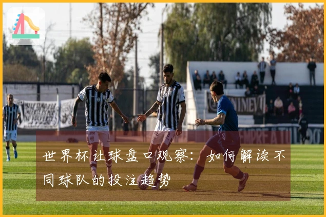 世界杯让球盘口观察：如何解读不同球队的投注趋势
