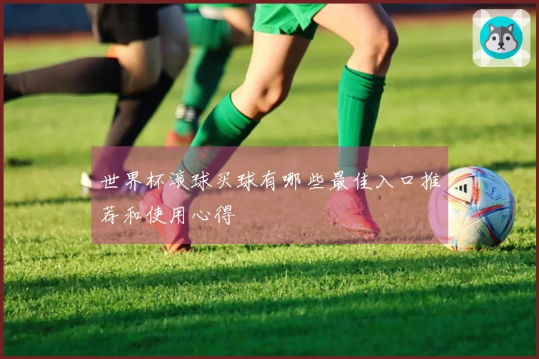 世界杯滚球买球有哪些最佳入口推荐和使用心得