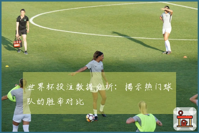 世界杯投注数据分析：揭示热门球队的胜率对比