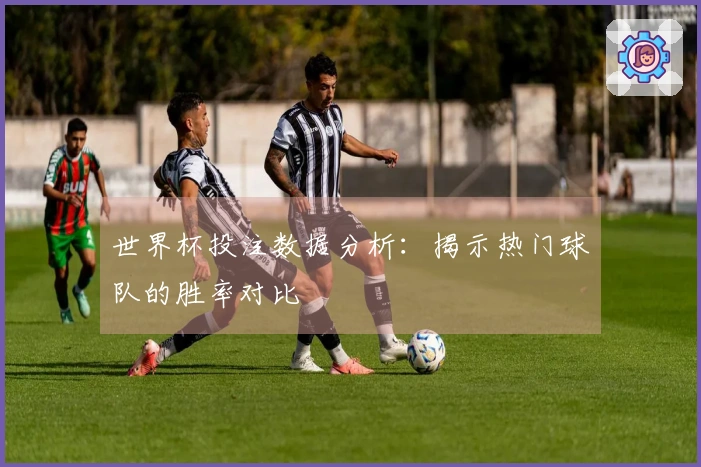 世界杯投注数据分析：揭示热门球队的胜率对比