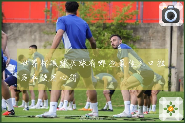 世界杯滚球买球有哪些最佳入口推荐和使用心得