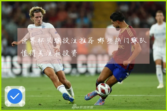 世界杯买球投注推荐 哪些热门球队值得关注和投资