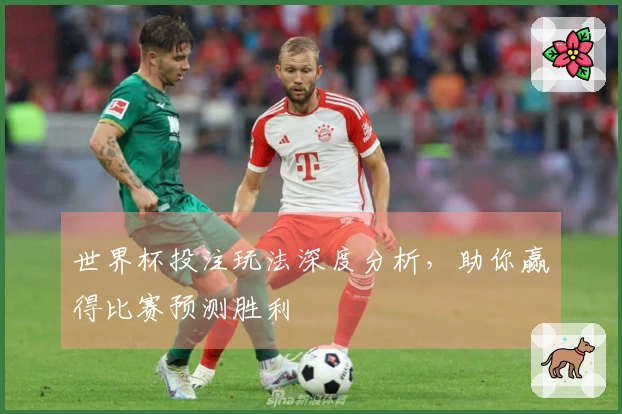 世界杯投注玩法深度分析，助你赢得比赛预测胜利
