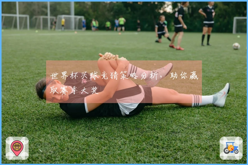 世界杯买球竞猜策略分析，助你赢取赛季大奖