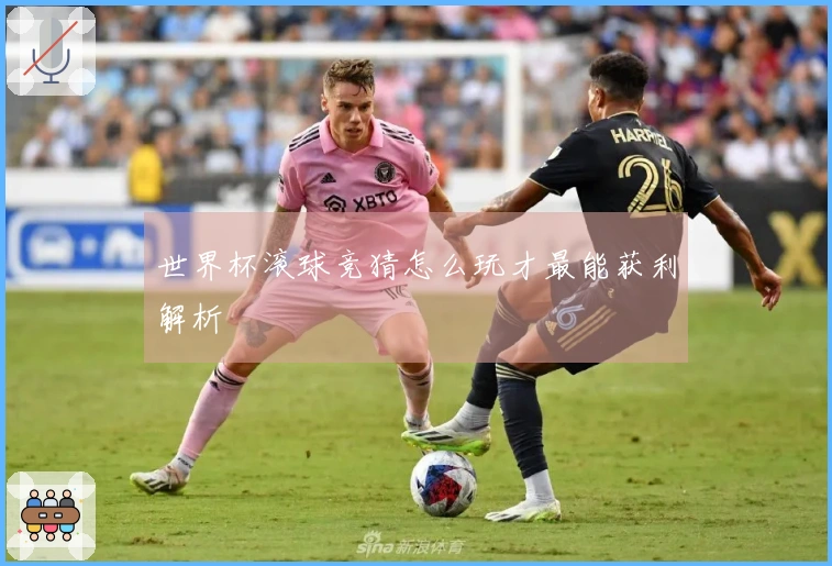 世界杯滚球竞猜怎么玩才最能获利解析