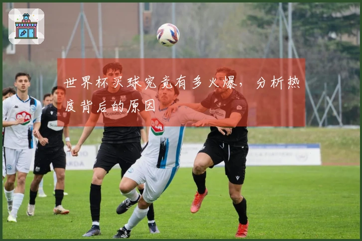 世界杯买球究竟有多火爆，分析热度背后的原因